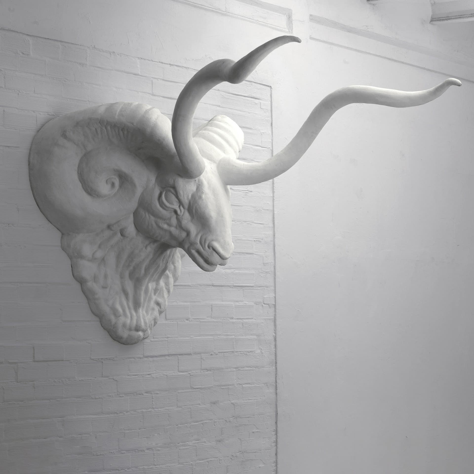 Imperfettolab brand gallery